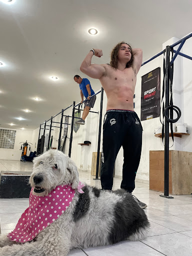 Gravity Calisthenics Gym - Thumbnail