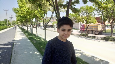 Photos of G&uuml;lpınar Parkı