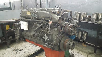 Photos of Nelion Trading Ltd