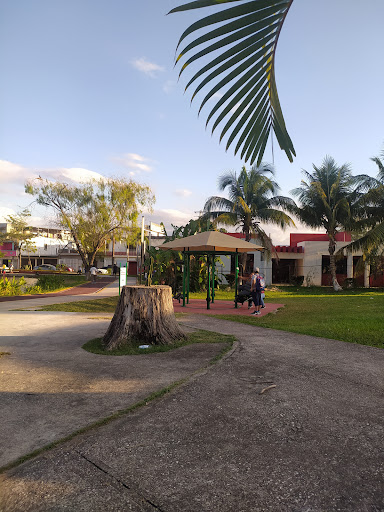 Laguna Estrella Andrade - Thumbnail