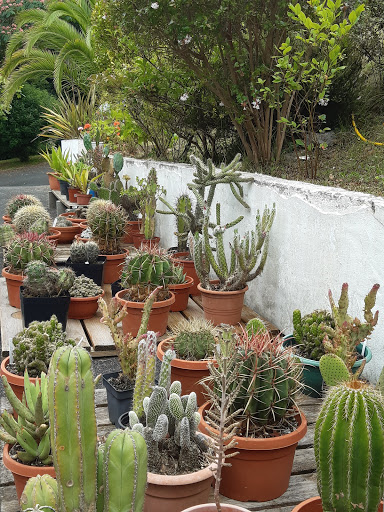 Landare Exotikoen Lorategia /plantes exotiques Garden Gallery - France