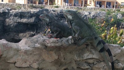 Photos of Lagoon Ocean Resort