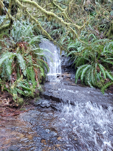 Gnat Creek Fish Hatchery - Thumbnail