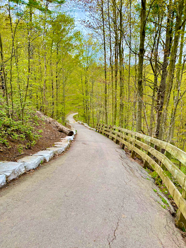 Lions Valley Park - Thumbnail