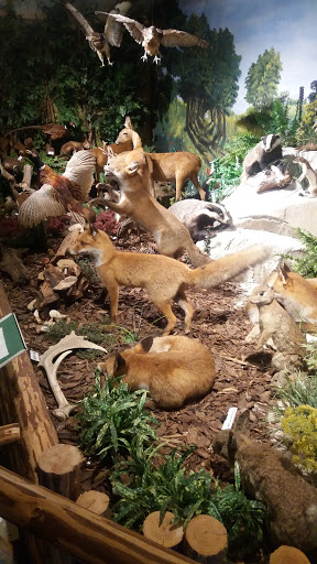 natuurmuseum Rheezer-marke - Thumbnail