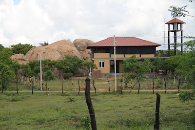 Photos of Boulders Yala