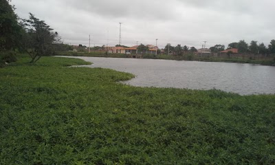Photos of La Laguna Palma Verde