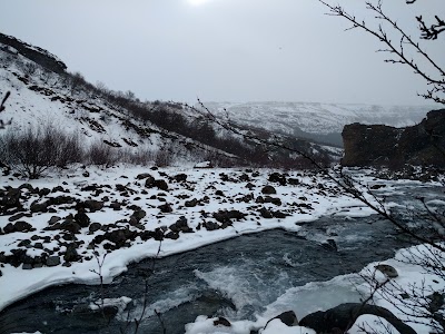 Photos of Baumstamm / Furt - Wanderweg