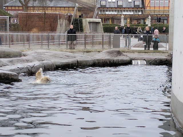 Copenhagen Zoo