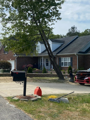 Cook's Tree Removal