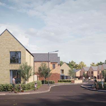 Gecko - Shores Fold photo 3