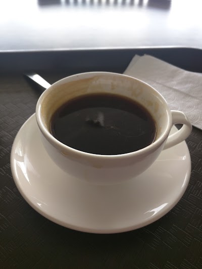Photos of Coffee Beans Costa Rica