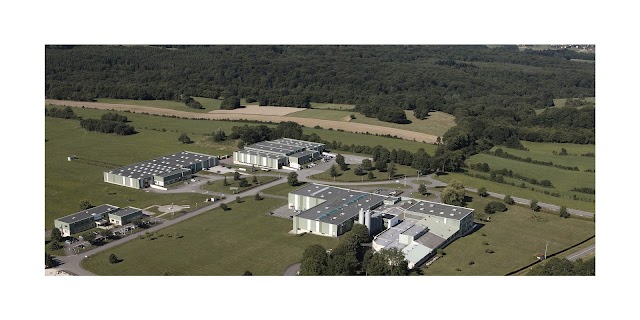 DELFINGEN Industry S.A.