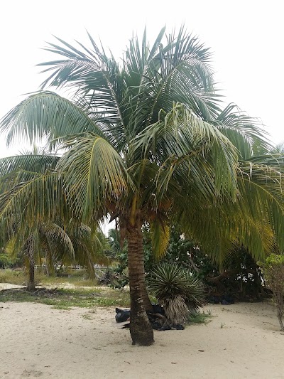 Photos of Mirasol Villa - Placencia, Belize