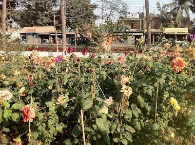 Photos of Roads and Highway Department, Comilla Division