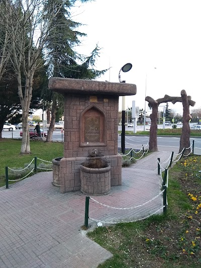 Youth Park