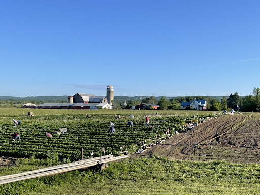 O'Farrell Farms