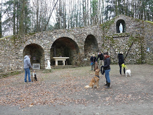 Photo n°16 de Ecole canine de Plessé à Plessé (Dresseur pour chiens)