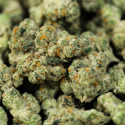 Photo of Ascend Cannabis Co - Medical/Recreational Cannabis Dispensary