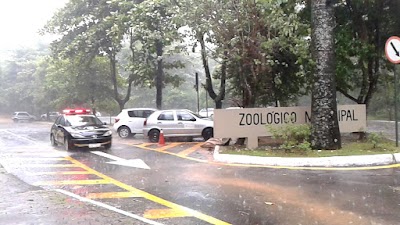 zoo
