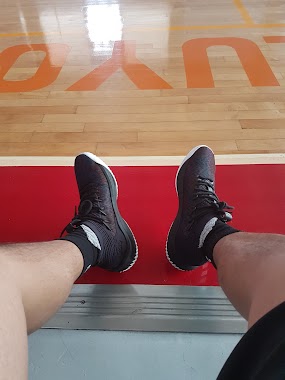 Home Court Gym, Author: Reginald Antiojo