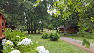 Photos of Caburgua Park Cabins