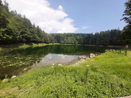 Regione Lago - Thumbnail