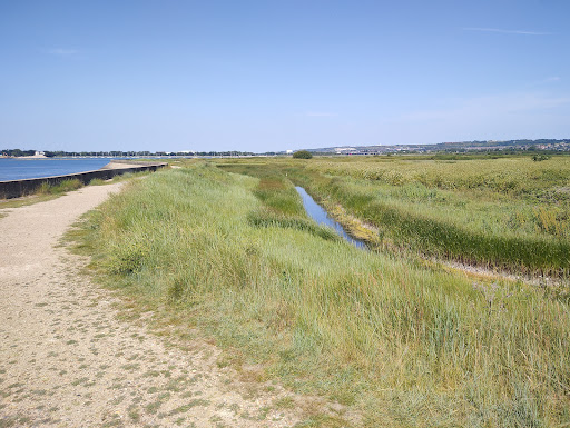 Farlington Marshes Nature Reserve - Thumbnail