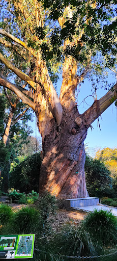 Hagley Park South - Thumbnail