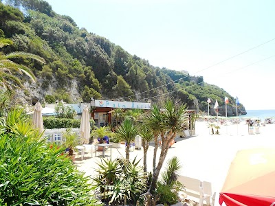 Photos of Palm Beach Gaeta