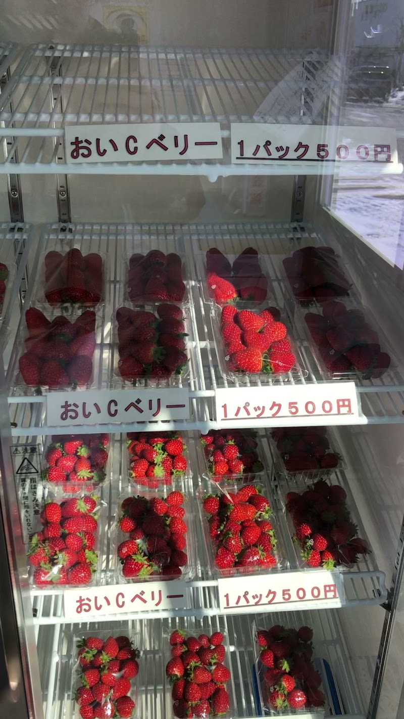 北上いちご園朝採りいちご直売所常盤台店