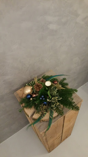 Flora Projects - Visual