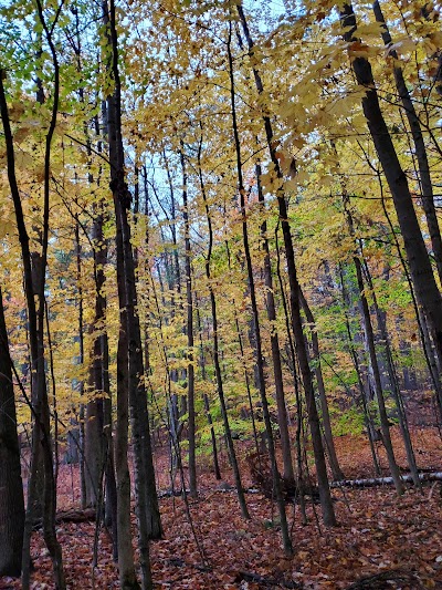 Thorncrag Bird Sanctuary