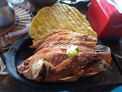 Photos of Restaurante Puerto Mojarra