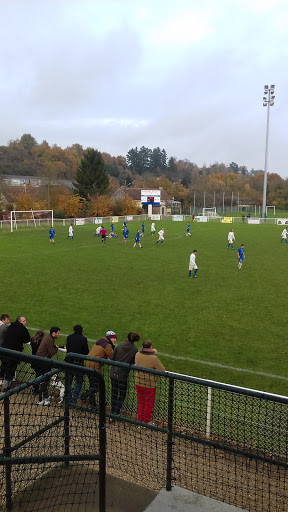 Stade Marcel Taveau Logo