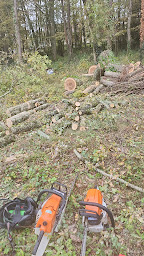 Photo n°10 de Fox Elagage ( Yohan Couton EI ) à Saint-Avertin (Paysagiste)