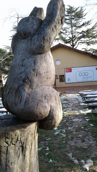 Polonezköy Açık Hava Ahşap Heykel Müzesi