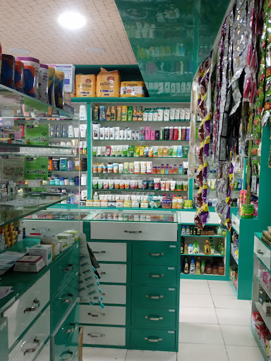 Gallery image 5