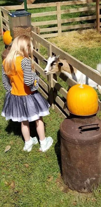 Drake Ridge Farms U-Pick Pumpkin Patch & Mini Petting Zoo