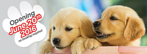 K9Kids Doggy Day Care