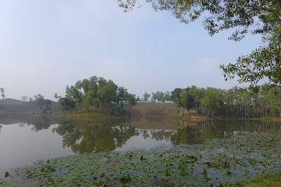 Photos of National Tea Company Limited, Tea Garden
