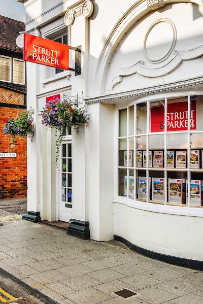 Strutt & Parker Farnham Estate Agents