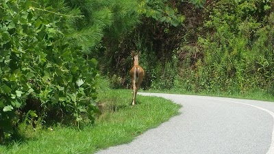 Photos of Rock Springs Park