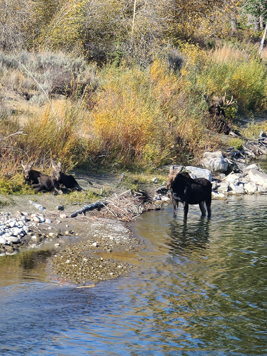 Grand Teton National Park Headquarters, Moose, WY - Thumbnail