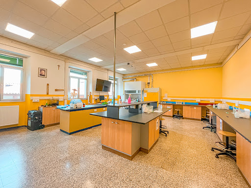 Scuola Secondaria di 1° grado Bearzi (Scuola Media) - Thumbnail