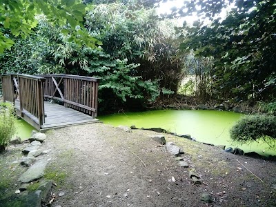 Photos of Pieper