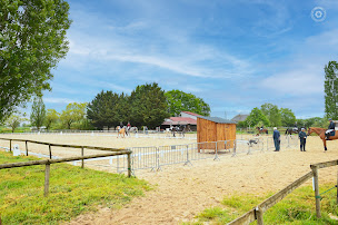 Photo n°2 de Haras Du Soleil à Semblançay (Pension pour chevaux)