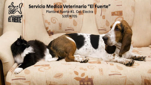 Veterinaria El Fuerte