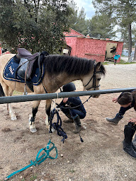 Photo n°19 de EDP JUMP Centre équestre à Signes (Centre équestre)