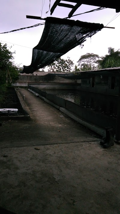 Photos of As-Salam PS